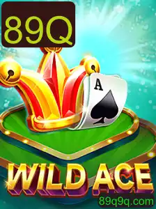Explorando o Mundo Aventura de WildAce: Regras, Mecânicas e Tendências